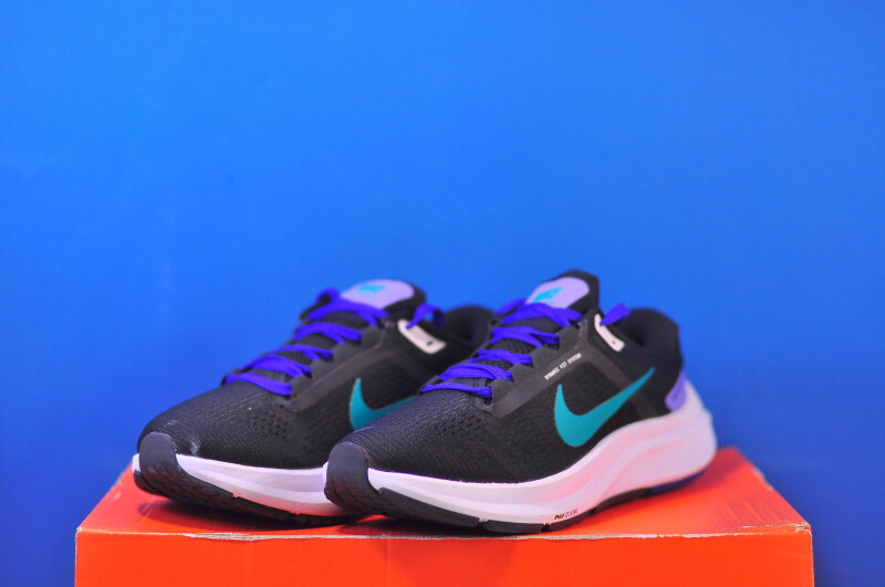 Кросівки Nike Air Zoom Structure 24 DA8570-004 - Зображення 1