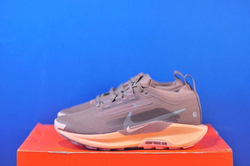 Кросівки Nike Pegasus Trail 5 Gtx Brown FQ0912-200