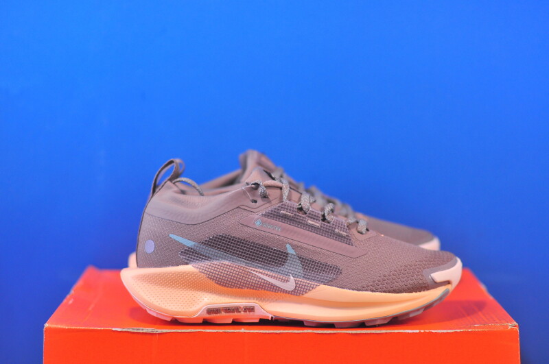 Кросівки Nike Pegasus Trail 5 Gtx Brown FQ0912-200 - Зображення 3