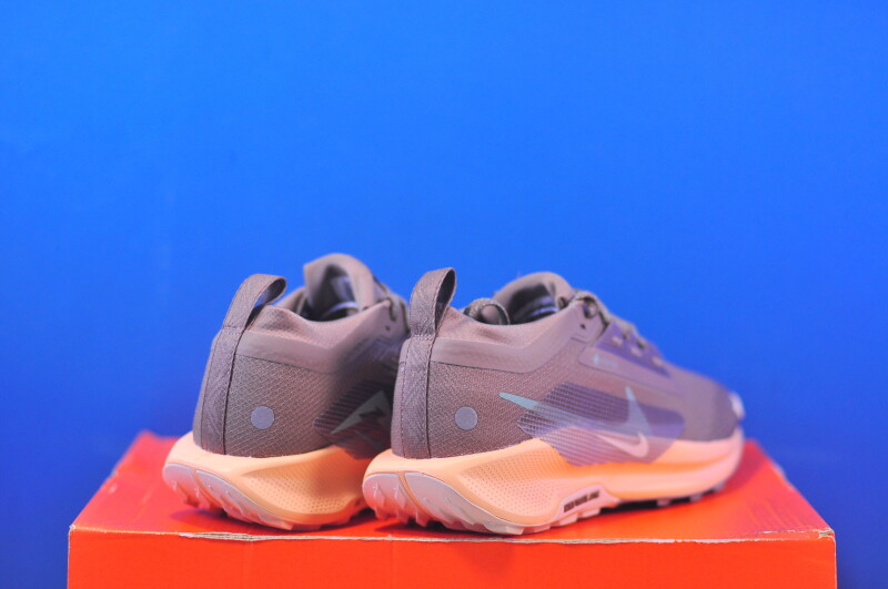 Кросівки Nike Pegasus Trail 5 Gtx Brown FQ0912-200 - Зображення 2
