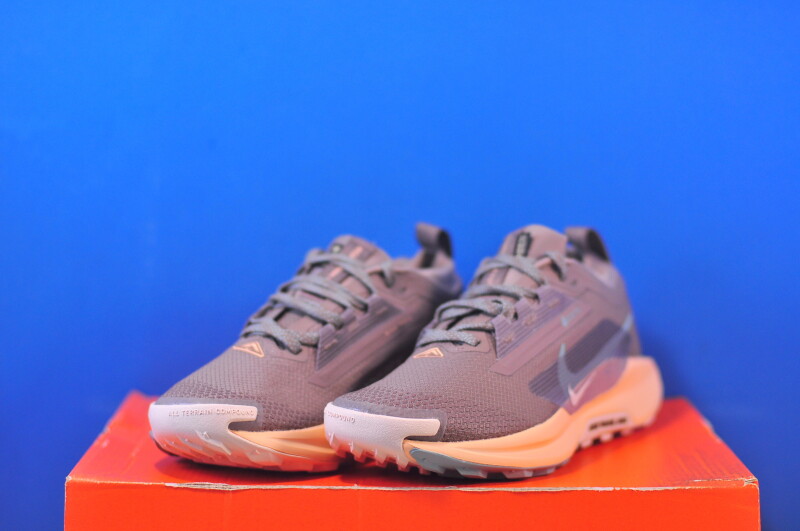 Кросівки Nike Pegasus Trail 5 Gtx Brown FQ0912-200 - Зображення 1