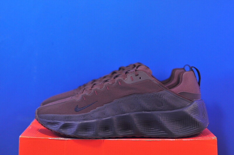 Кросівки Nike Ava Rover DX4215-206