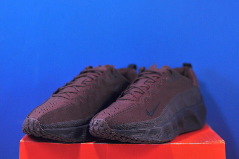Кросівки Nike Ava Rover DX4215-206 - Зображення 1