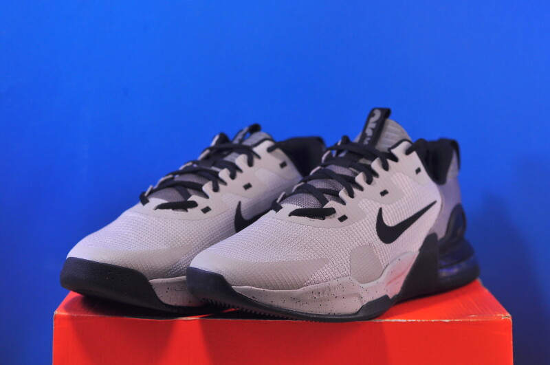 Кросівки Nike Air Max Alpha Trainer 5 Beige/Grey DM0829-013 - Зображення 1