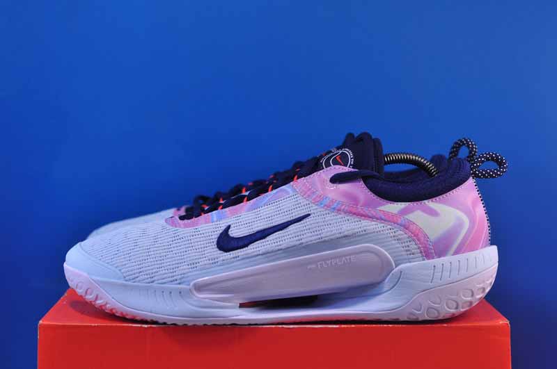Кросівки Nike Court Zoom NXT HC DH0219-401