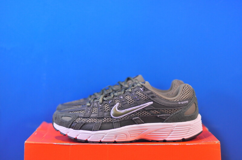 Кросівки Nike P-6000 Se HF0015-301