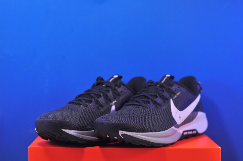 Кросівки Nike ReactX Pegasus Trail 5 DV3864-001 - Зображення 1