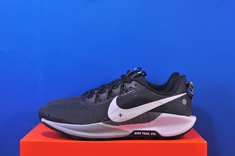 Кросівки Nike ReactX Pegasus Trail 5 DV3864-001