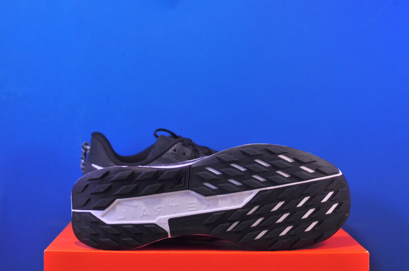 Кросівки Nike ReactX Pegasus Trail 5 DV3864-001 - Зображення 4