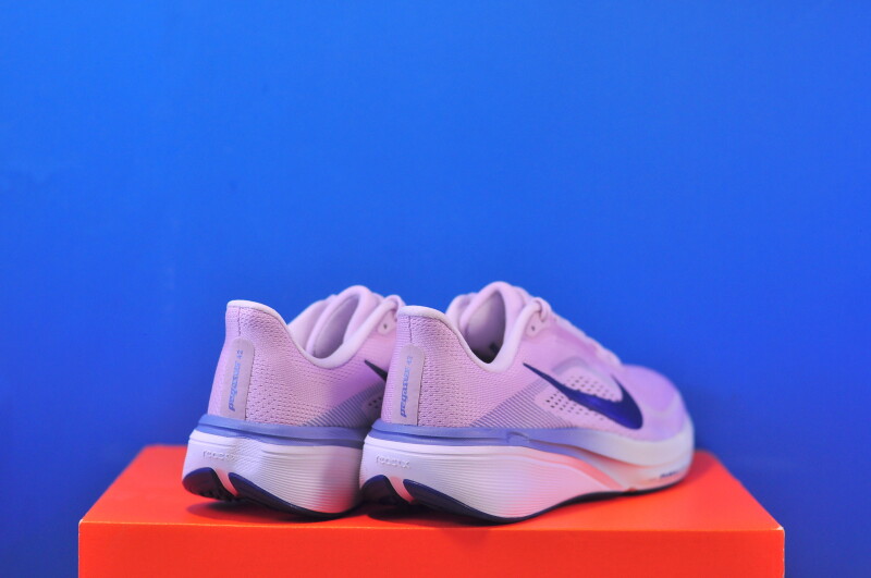 Кросівки Nike Air Zoom Pegasus 42 IB1881-500 - Зображення 2