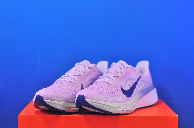 Кросівки Nike Air Zoom Pegasus 42 IB1881-500 - Зображення 1