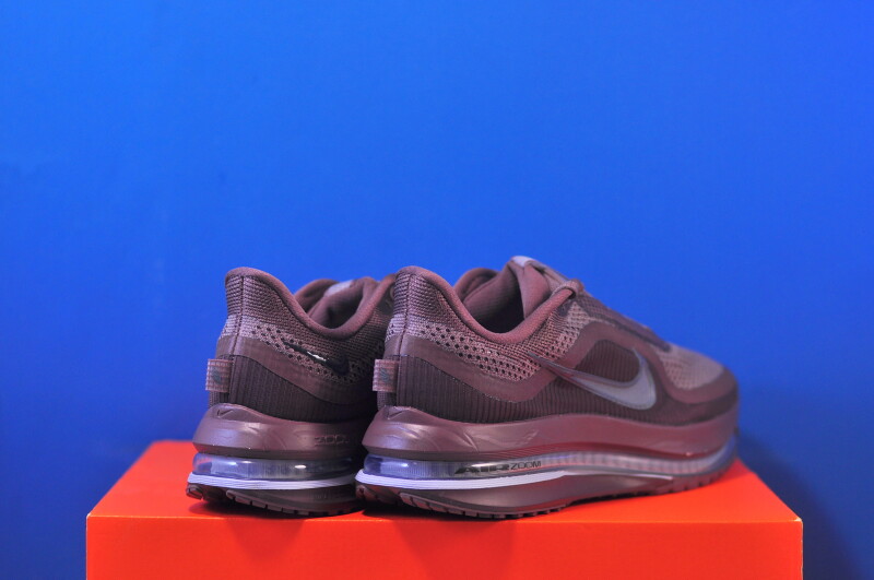 Кросівки Nike Pegasus Premium HQ2593-502 - Зображення 2