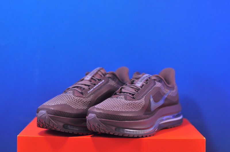 Кросівки Nike Pegasus Premium HQ2593-502 - Зображення 1