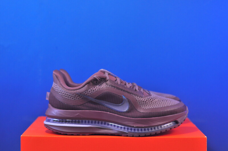 Кросівки Nike Pegasus Premium HQ2593-502 - Зображення 3