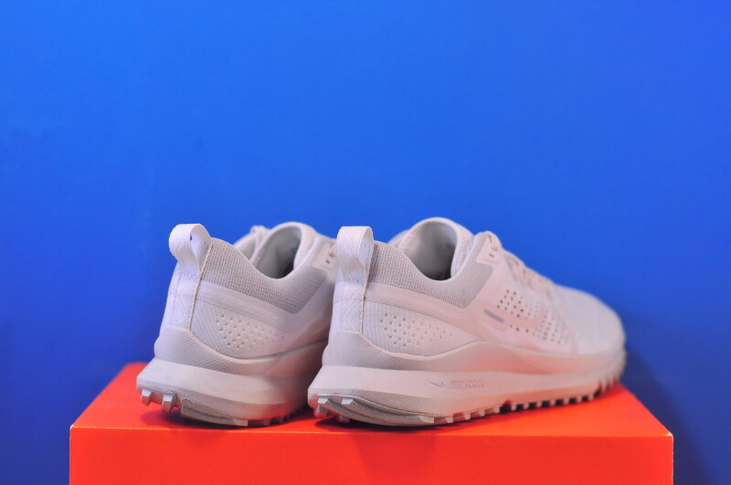 Кросівки Nike Pegasus Trail 4 Beige DJ6158-008 - Зображення 2