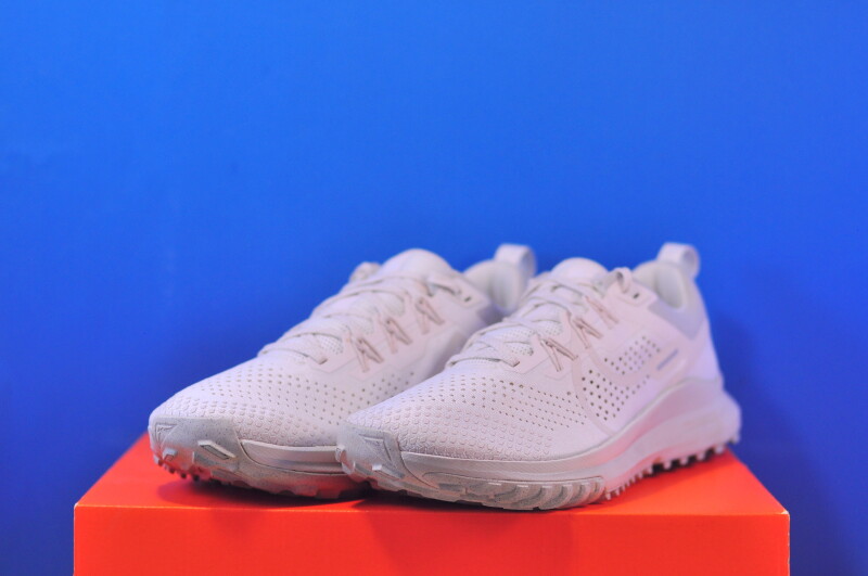 Кросівки Nike Pegasus Trail 4 Beige DJ6158-008 - Зображення 1