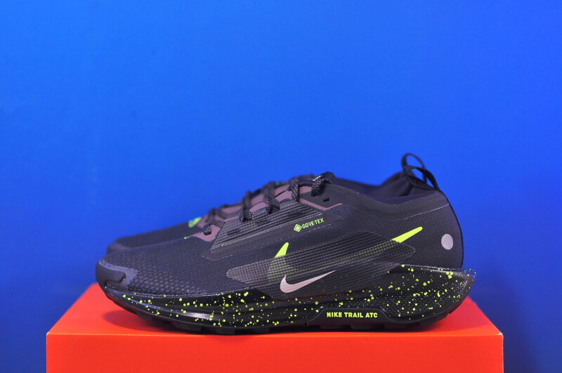 Кросівки Nike Pegasus Trail 5 Gore-Tex FQ0908-014