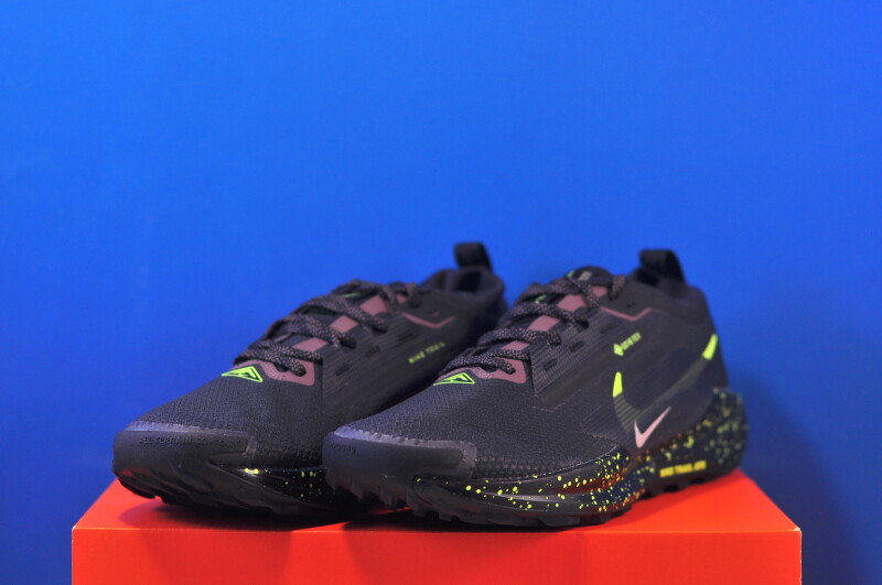 Кросівки Nike Pegasus Trail 5 Gore-Tex FQ0908-014 - Зображення 1