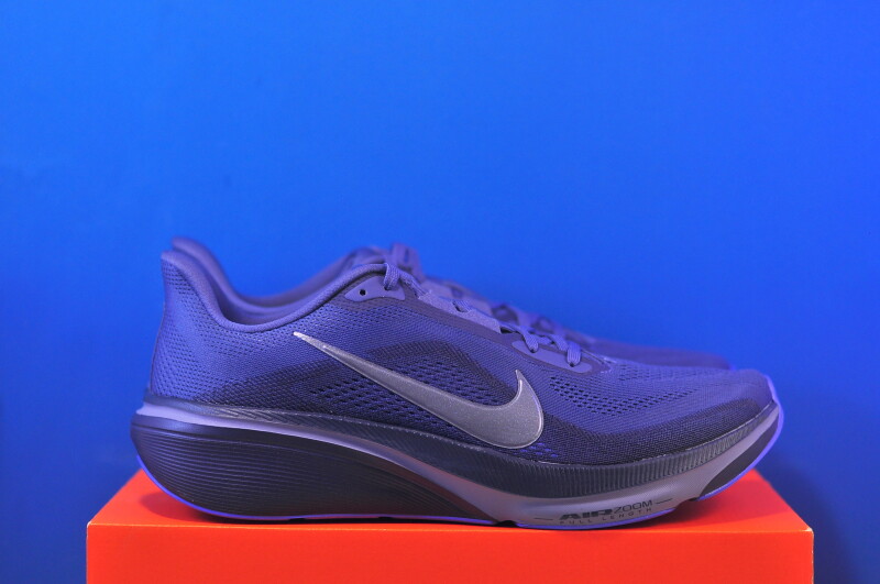 Кросівки Nike Air Zoom Pegasus 42 IB1873-401 - Зображення 3
