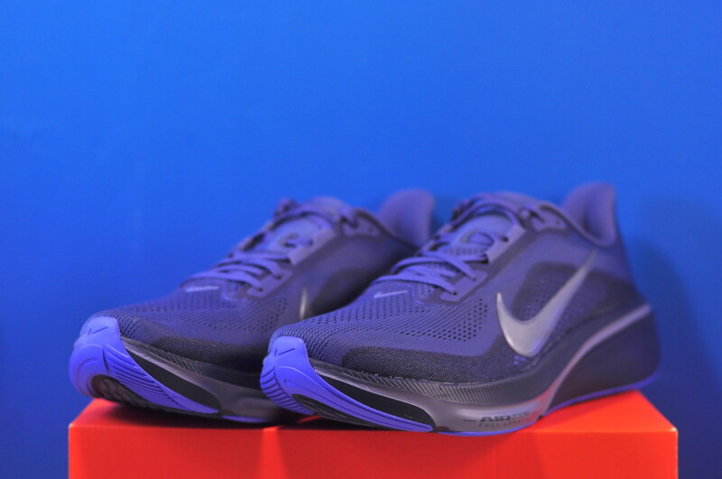 Кросівки Nike Air Zoom Pegasus 42 IB1873-401 - Зображення 1
