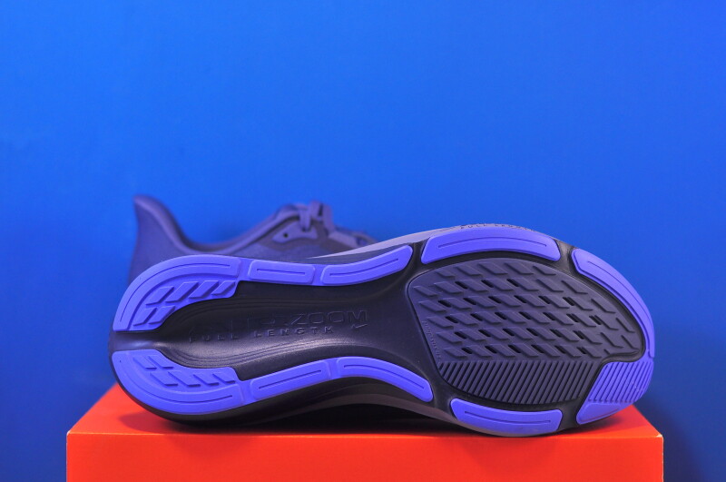 Кросівки Nike Air Zoom Pegasus 42 IB1873-401 - Зображення 4