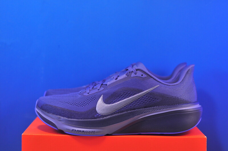 Кросівки Nike Air Zoom Pegasus 42 IB1873-401