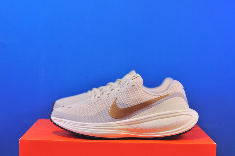 Кросівки Nike Revolution 8 HJ8485-201