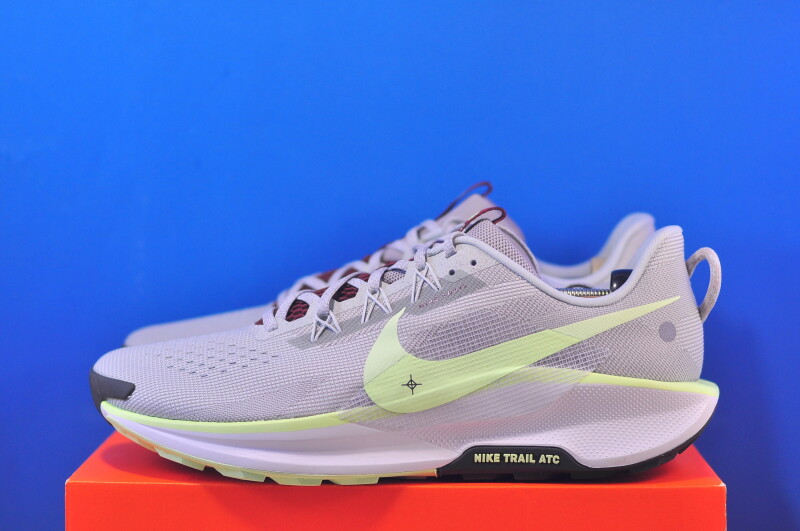 Кросівки Nike Pegasus Trail 5 DV3864-004