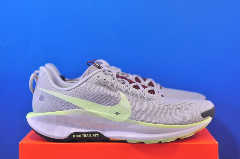Кросівки Nike Pegasus Trail 5 DV3864-004 - Зображення 3