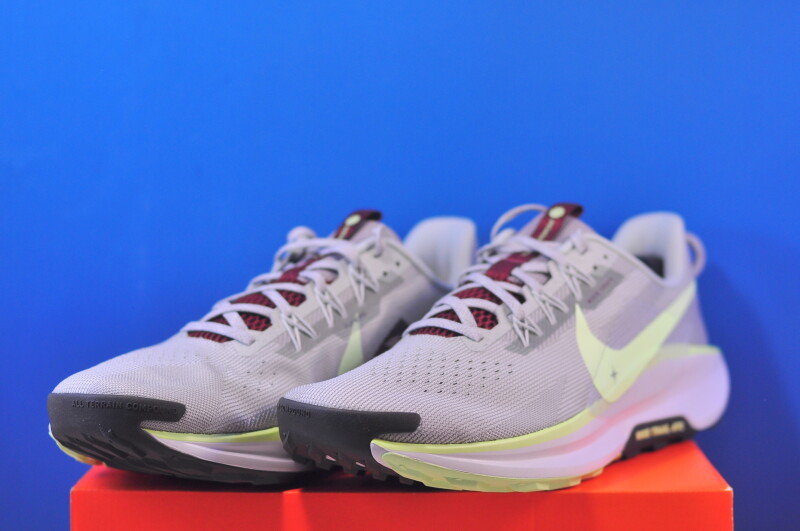 Кросівки Nike Pegasus Trail 5 DV3864-004 - Зображення 1