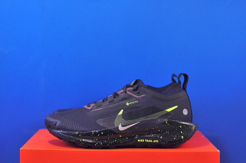 Кросівки Nike Pegasus Trail 5 Gore-Tex FQ0912-009