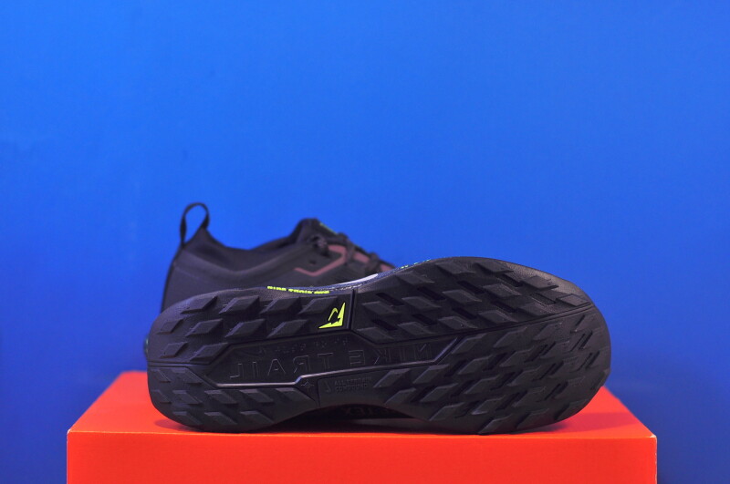 Кросівки Nike Pegasus Trail 5 Gore-Tex FQ0912-009 - Зображення 4