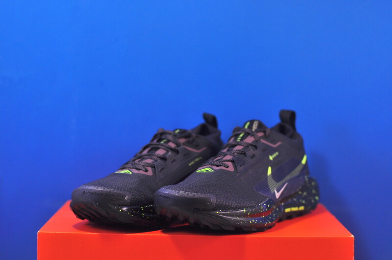 Кросівки Nike Pegasus Trail 5 Gore-Tex FQ0912-009 - Зображення 1