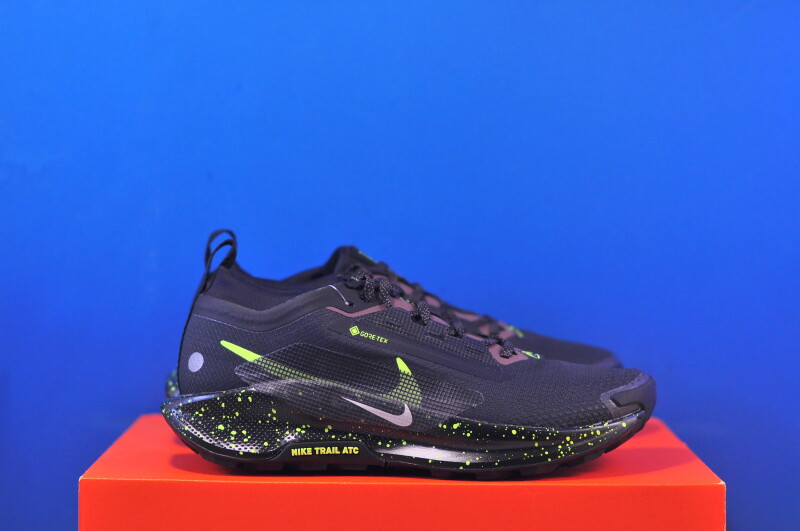 Кросівки Nike Pegasus Trail 5 Gore-Tex FQ0912-009 - Зображення 3