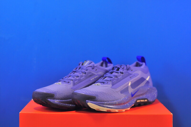 Кросівки Nike Pegasus Trail 5 GTX FQ0912-402 - Зображення 1