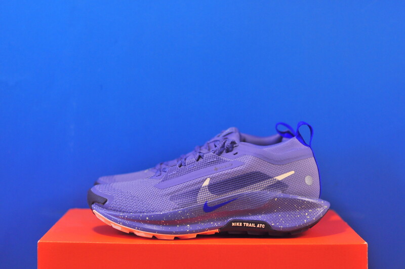 Кросівки Nike Pegasus Trail 5 GTX FQ0912-402