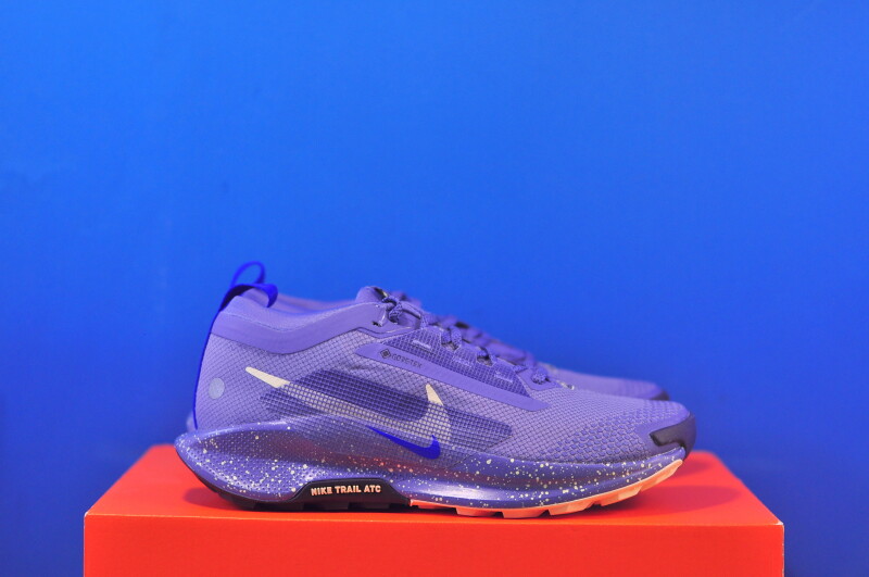 Кросівки Nike Pegasus Trail 5 GTX FQ0912-402 - Зображення 3