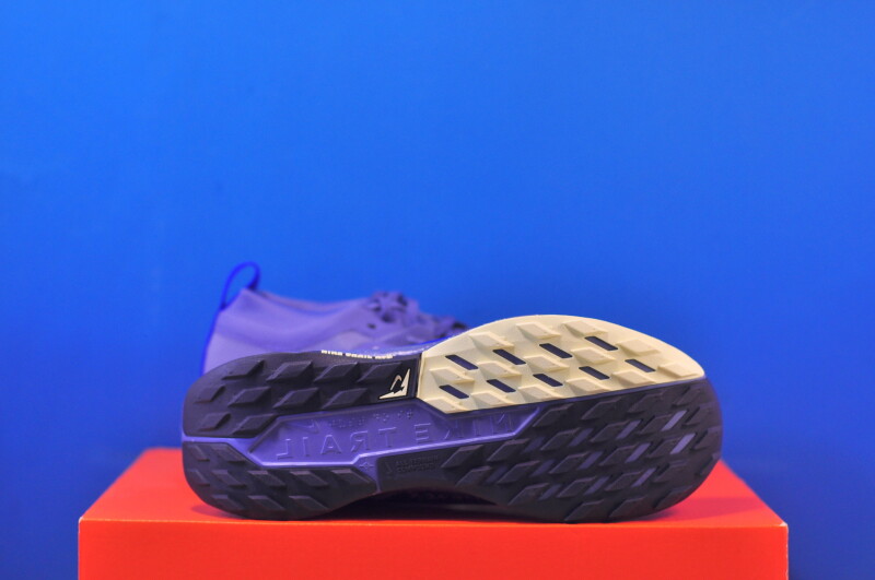 Кросівки Nike Pegasus Trail 5 GTX FQ0912-402 - Зображення 4