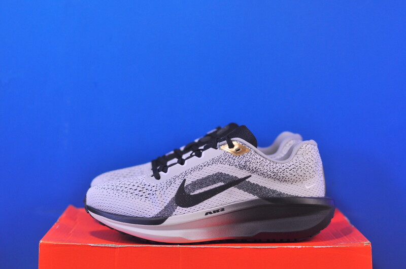 Кросівки Nike Winflo 11 SE HQ7975-100