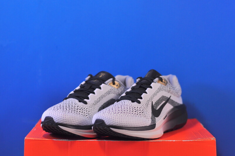 Кросівки Nike Winflo 11 SE HQ7975-100 - Зображення 1