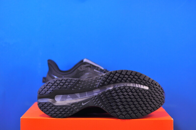 Кросівки Nike Pegasus Premium HQ2593-004 - Зображення 4