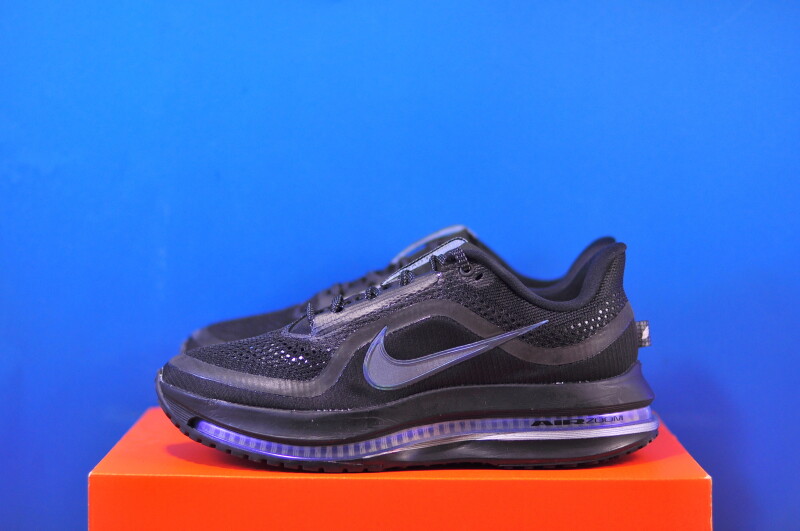 Кросівки Nike Pegasus Premium HQ2593-004