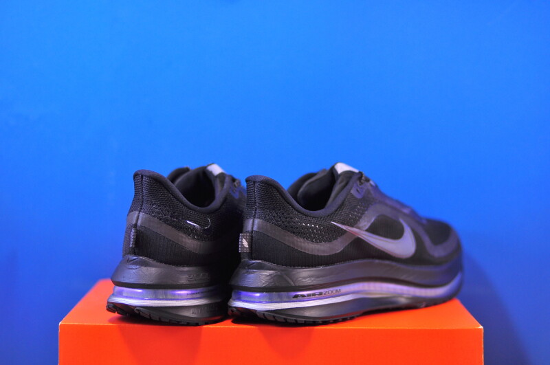 Кросівки Nike Pegasus Premium HQ2593-004 - Зображення 2