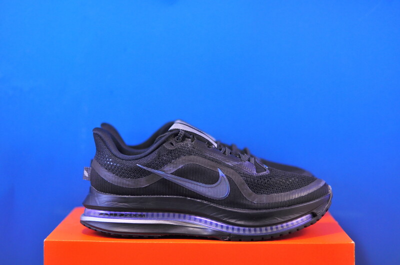 Кросівки Nike Pegasus Premium HQ2593-004 - Зображення 3