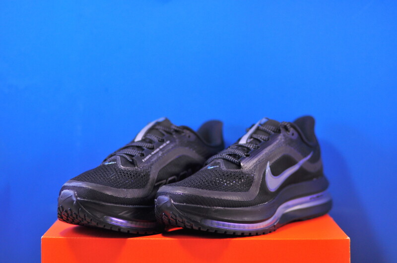 Кросівки Nike Pegasus Premium HQ2593-004 - Зображення 1