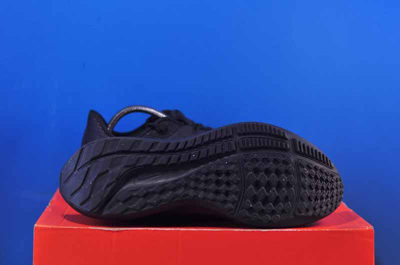 Кросівки Nike Air Zoom Pegasus 40 DV3853-002 - Зображення 1