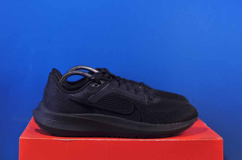 Кросівки Nike Air Zoom Pegasus 40 DV3853-002 - Зображення 2