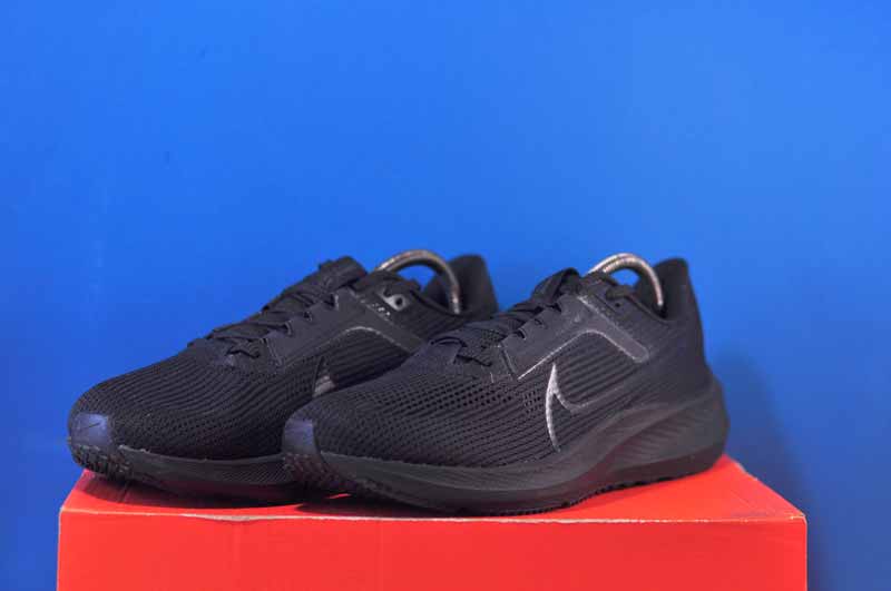 Кросівки Nike Air Zoom Pegasus 40 DV3853-002