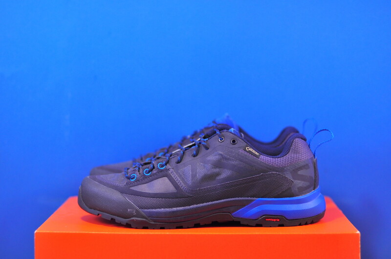 Кросівки Salomon X Alp Spry GTX 401620