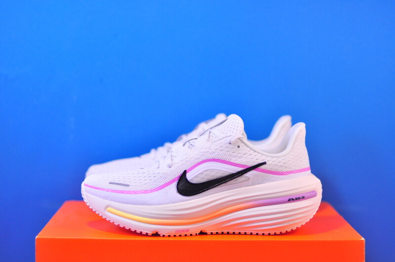 Кросівки Nike Air Winflo 12 HV9273-100